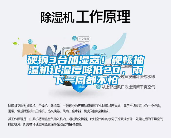 硬鋼3臺加濕器！硬核抽濕機讓濕度降低20，雨下一周都不怕