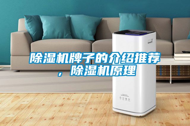 除濕機牌子的介紹推薦，除濕機原理