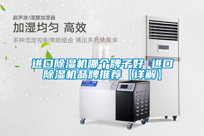 進(jìn)口除濕機哪個牌子好 進(jìn)口除濕機品牌推薦【詳解】