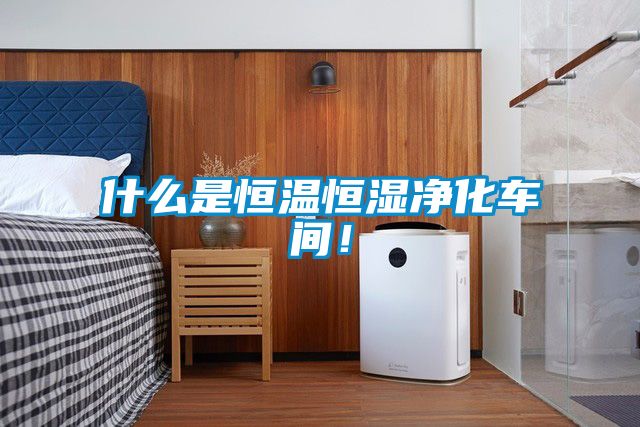 什么是恒溫恒濕凈化車間！