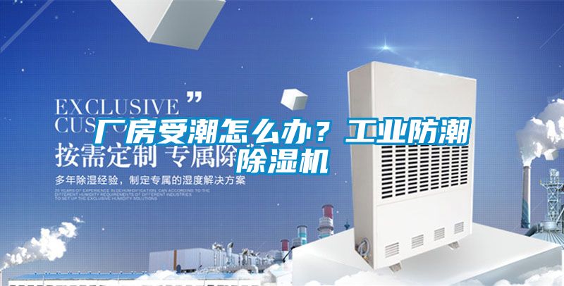 廠房受潮怎么辦？工業(yè)防潮除濕機(jī)