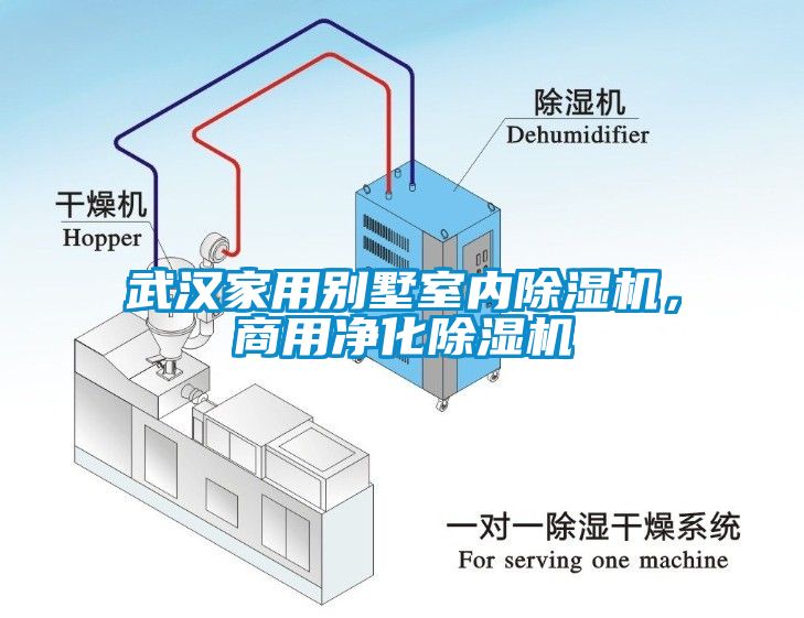 武漢家用別墅室內(nèi)除濕機，商用凈化除濕機