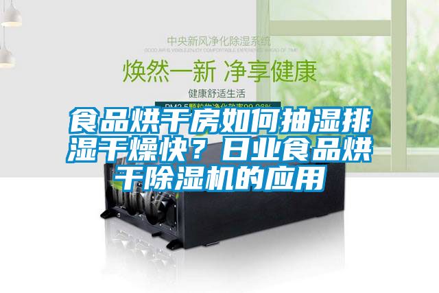 食品烘干房如何抽濕排濕干燥快？日業(yè)食品烘干除濕機的應(yīng)用