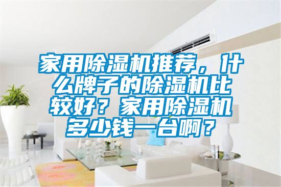 家用除濕機推薦，什么牌子的除濕機比較好？家用除濕機多少錢一臺啊？