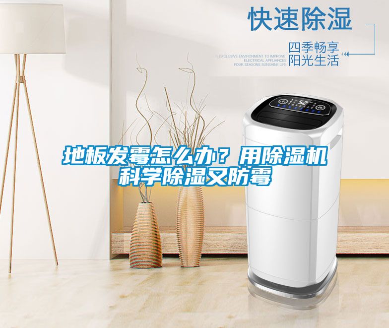 地板發霉怎么辦？用除濕機科學除濕又防霉