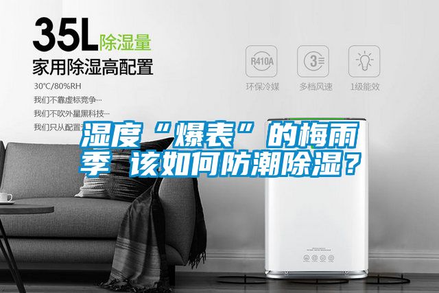 濕度“爆表”的梅雨季 該如何防潮除濕？