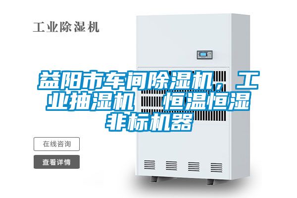 益陽市車間除濕機，工業(yè)抽濕機  恒溫恒濕非標機器