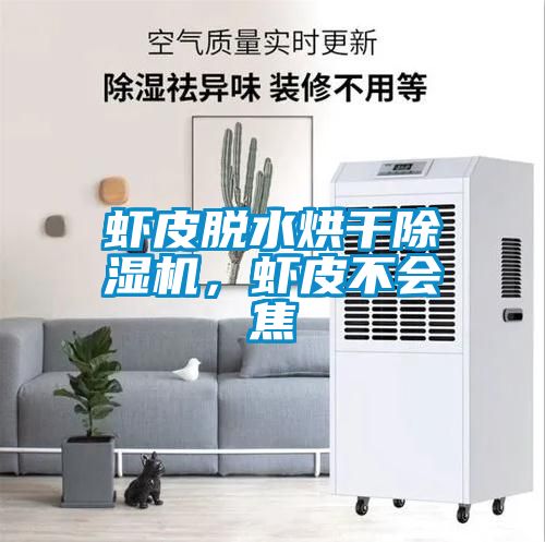蝦皮脫水烘干除濕機，蝦皮不會焦
